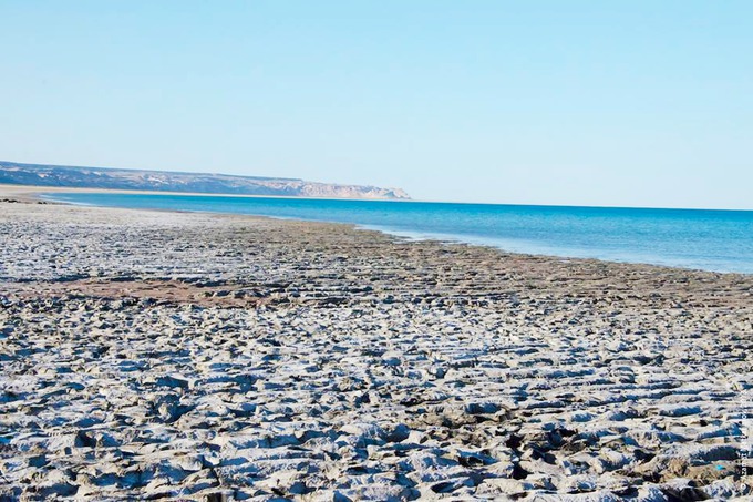 Арал не хуже Мертвого моря может приносить миллиарды, — эксперт