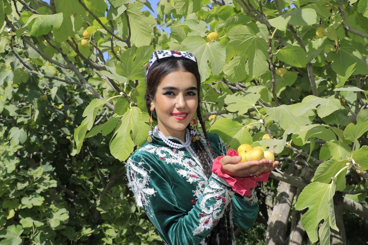 Инжирный сад Амира Темура в Самарканде станет туристическим объектом