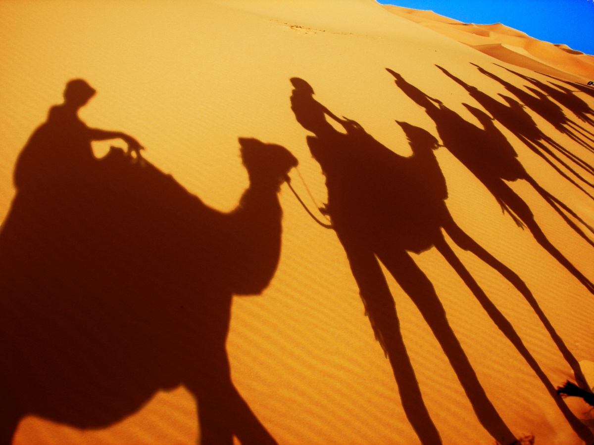 Караван солнца. Три пальмы Лермонтов Караван. Три пальмы Верблюды Караван. Верблюд в пустыне. Тени верблюдов в пустыне.
