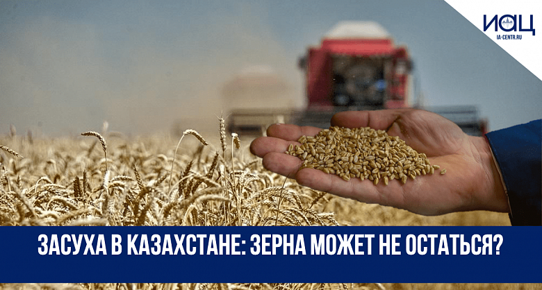 Засуха в Казахстане: зерна может не остаться?