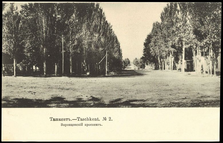 Облик Ташкента XIX века (взгляд приезжего)