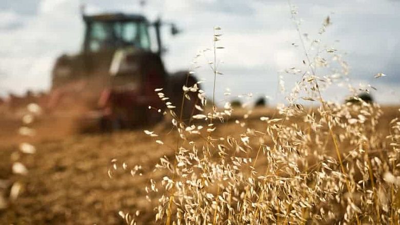 В Казахстане приняли закон о запрете продажи сельхозземель иностранцам