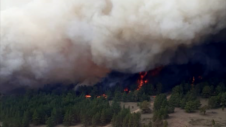 Лесной пожар в Восточно-Казахстанской области