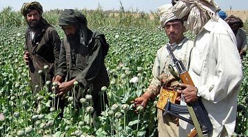 В Таджикистане заявили о росте контрабанды наркотиков при талибах