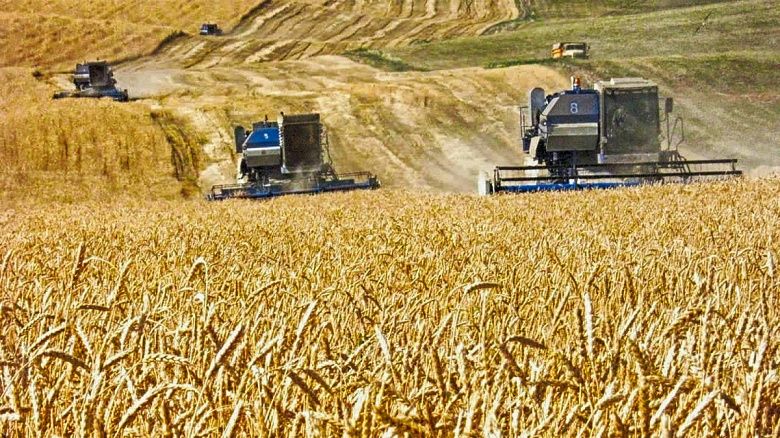 Аграрная отрасль Казахстана в период пандемии: как она противостоит кризису?