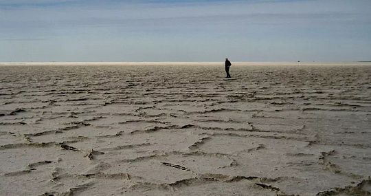 Деградация почв и засуха в Центральной Азии стали важным фактором миграции