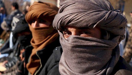 Звягельская: Массированное наступление талибов* на границы Центральной Азии исключено