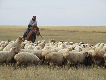Туркестанская область – лидер по рождаемости и по бедности в Казахстане