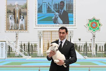 Если не сын, то кто: интриги властного транзита в Туркменистане