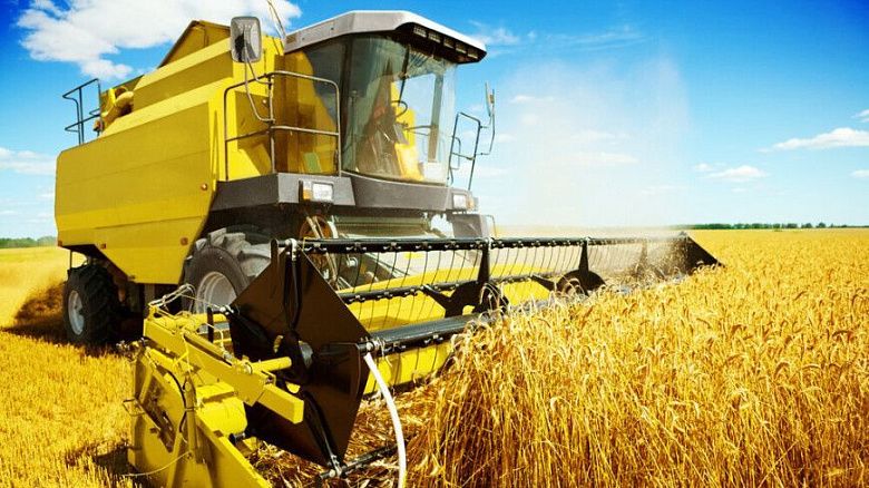 Казахстан собрал рекордный урожай за последние 10 лет