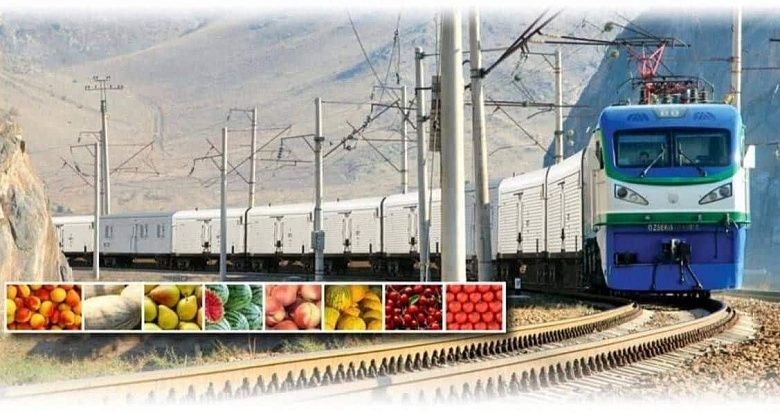 Первый «Агроэкспресс» с овощами и фруктами из Узбекистана прибыл в Россию
