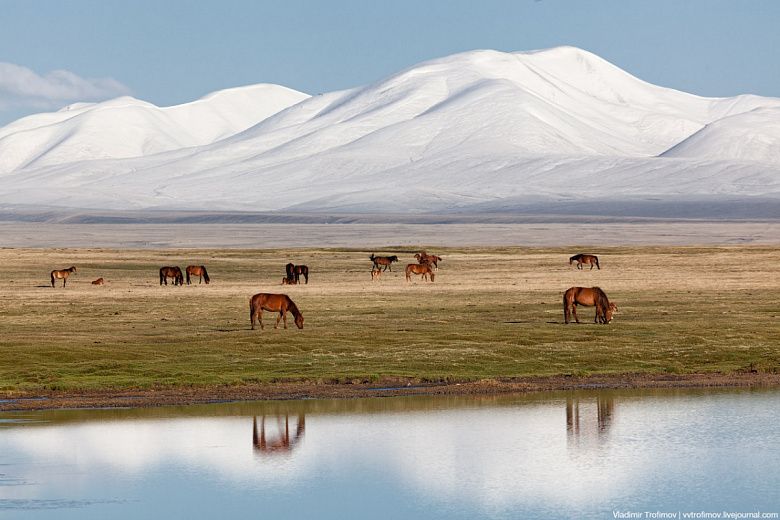 Киргизия и туризм: добро пожаловать сюда или отсюда?