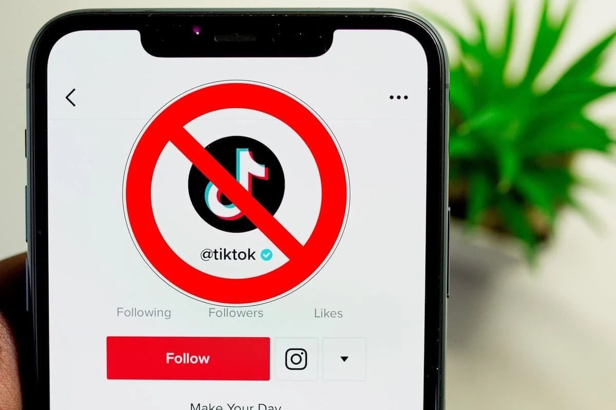 В Киргизии заблокировали доступ к приложению TikTok - Читайте на IA-CENTR